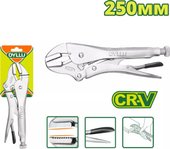 Зажим Dyllu DTLP2C02