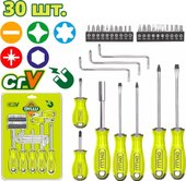 Набор отвертка с битами Dyllu DTSS1430