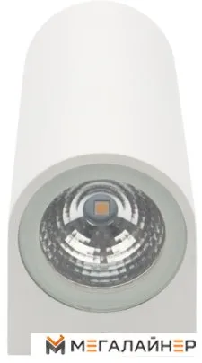 Уличный настенный светильник Rexant 610-002 купить в Минске с доставкой