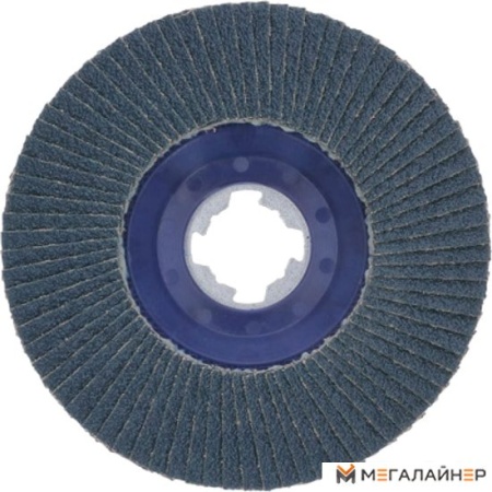 Шлифовальный круг Bosch 2608619210 купить в Минске с доставкой