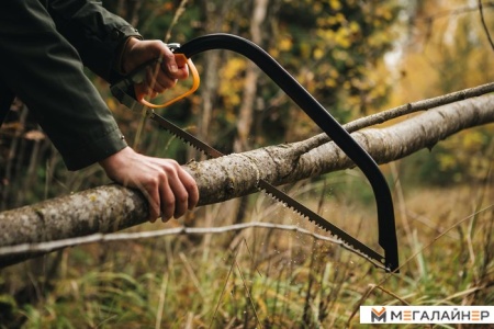 Пила садовая Fiskars SW30 1001621 купить в Минске с доставкой