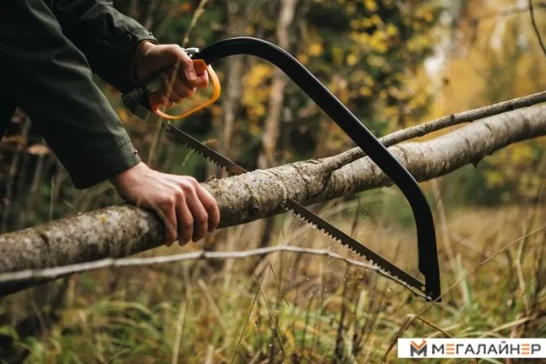 Пила садовая Fiskars SW30 1001621 купить в Минске с доставкой
