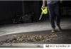 Воздуходувка Ryobi R18TB-0 [5133002915] купить в Минске с доставкой