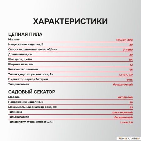 Profipower ProfiSet-2G20 E0217 (цепная пила, секатор, 2 АКБ) купить в Минске с доставкой