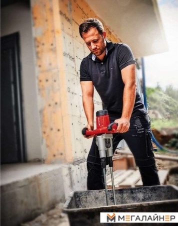 Венчик для размешивателя HEX 13 мм, 2 шт, Einhell 4258369 купить в Минске с доставкой