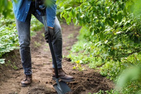 Лопата штыковая остроконечная Plantic Terra Pro 11002-01 купить в Минске с доставкой