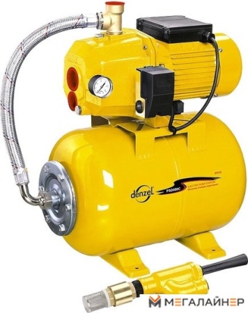 Насосная станция Denzel PSD800C купить в Минске с доставкой