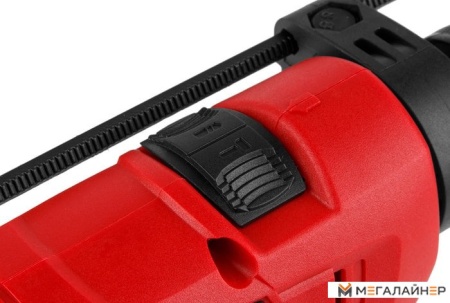 Ударная дрель Wortex DS 1306-2 DS130620019 купить в Минске с доставкой