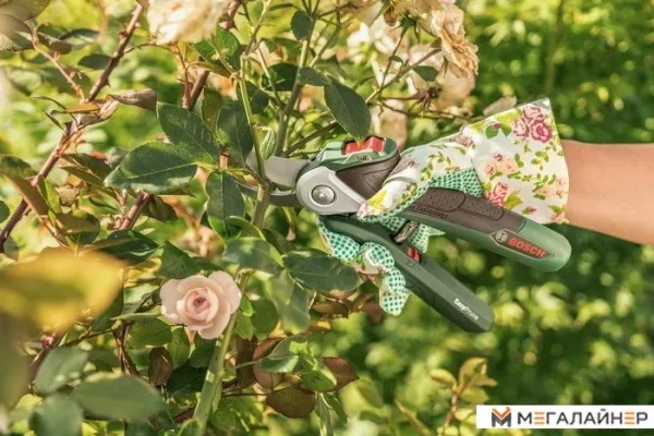 Секатор Bosch EasyPrune купить в Минске с доставкой