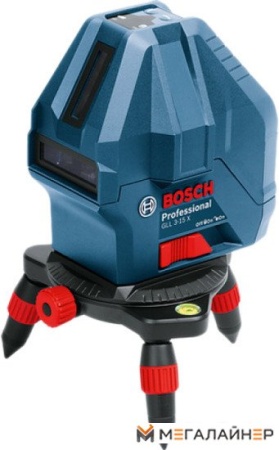 Купить Лазерный нивелир Bosch GLL 3-15 X Professional [0601063M00] в Минске с доставкой
