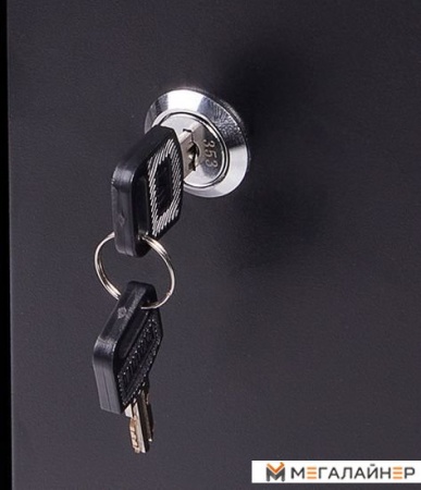 Шкаф Baumeister BTC-001 купить в Минске с доставкой