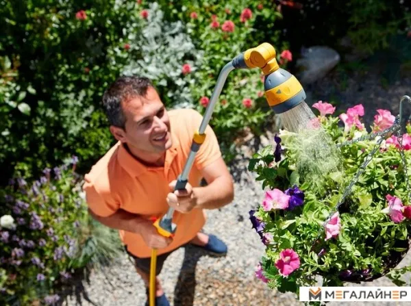 Hozelock Lance Spray Plus 140 2699 купить в Минске с доставкой