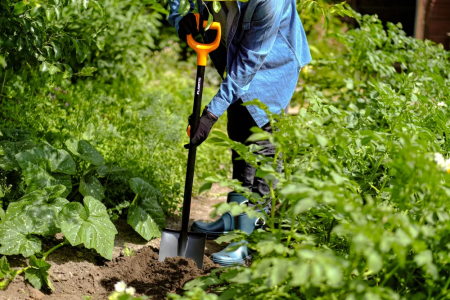 Лопата штыковая остроконечная Plantic Terra 11005-01 купить в Минске с доставкой