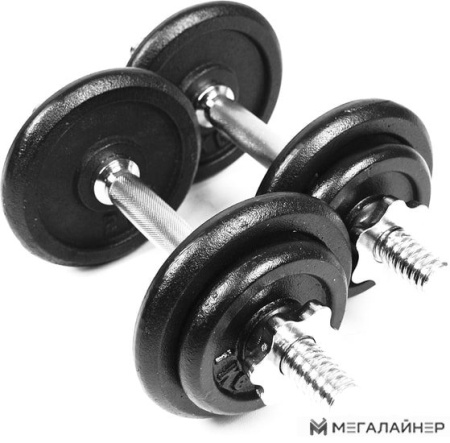 Штанга с гантелями Atlas Sport Штанга + 2 гантели 48 кг