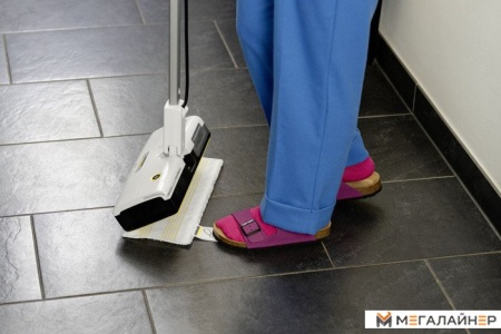 Паровая швабра Karcher SC 1 Upright 1.513-560.0 купить в Минске с доставкой