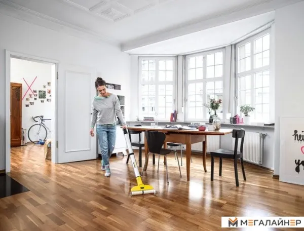 Пылесос Karcher Karcher FC 3 Cordless 1.055-300.0 купить в Минске с доставкой