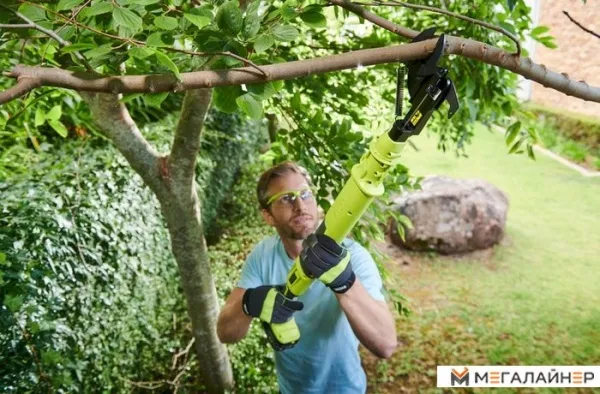 Секатор Ryobi OLP1832BX (без АКБ) купить в Минске с доставкой