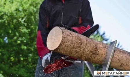 Бензопила Einhell GC-PC 2040 I купить в Минске с доставкой