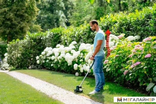 Триммер Bosch UniversalGrassCut 18-260 06008C1D00 (с 1-м АКБ) купить в Минске с доставкой