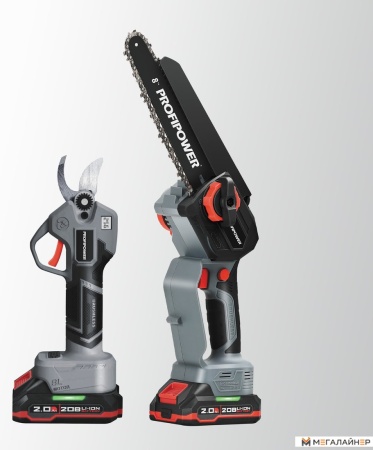 Profipower ProfiSet-2G20 E0217 (цепная пила, секатор, 2 АКБ) купить в Минске с доставкой