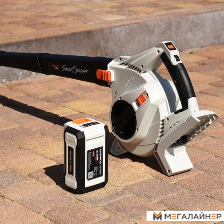 Воздуходувка Daewoo Power DABL 6040Li купить в Минске с доставкой