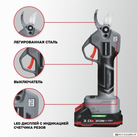 Profipower ProfiSet-2G20 E0217 (цепная пила, секатор, 2 АКБ) купить в Минске с доставкой