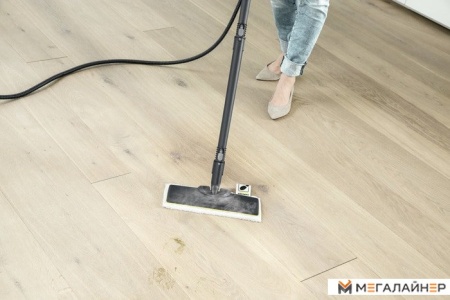 Отпариватель-пароочиститель Karcher SI 4 EasyFix Premium Iron купить в Минске с доставкой