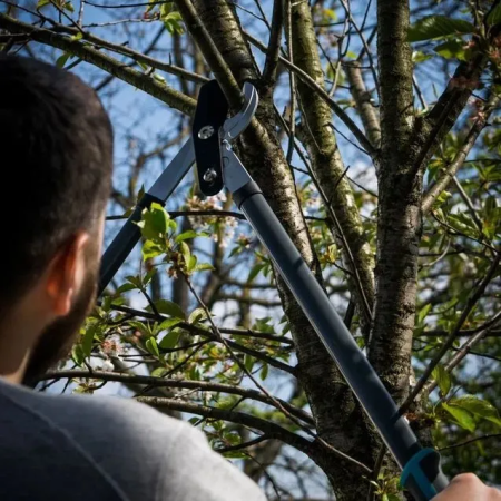 Сучкорез Plantic PowerCut Light L66 25266-01 купить в Минске с доставкой