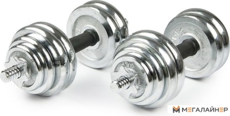 Набор гантелей Ametist хромированные 30 кг