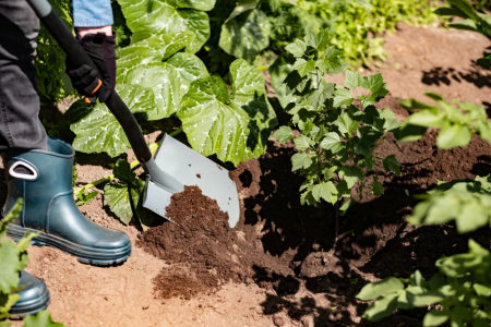 Лопата штыковая остроконечная Plantic Terra Pro 11002-01 купить в Минске с доставкой