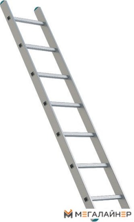 Лестница Sarayli односекционная промышленная 1x8 (1108) купить в Минске с доставкой