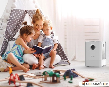 Мойка воздуха Boneco Air-O-Swiss W300