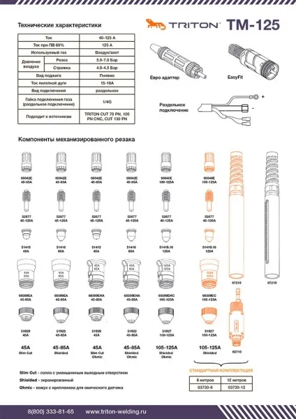 Плазмотрон для CNC с пневмоподжигом Triton TM-125 (12 метров, раздельное подключение)