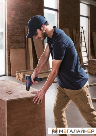 Дрель-шуруповерт Bosch GSR 120-LI Plus GLI 12V-300 Professional (с 2-мя АКБ) купить в Минске с доставкой