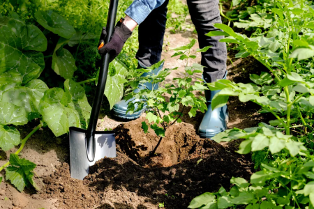 Лопата штыковая остроконечная Plantic Terra 11005-01 купить в Минске с доставкой