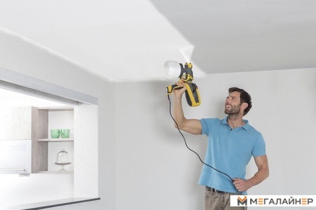 Краскораспылитель Wagner W 590 FLEXiO [2361538] купить в Минске с доставкой