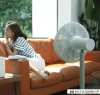 Вентилятор Xiaomi Smartmi Standing Fan 3S