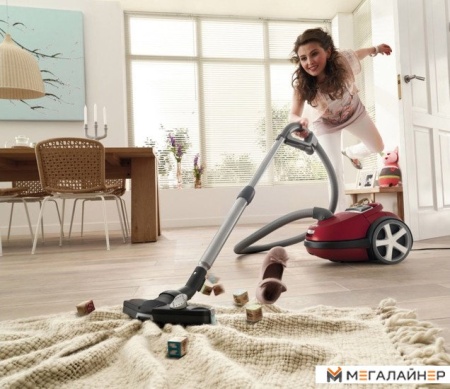 Пылесос Philips FC9174/02 купить в Минске с доставкой