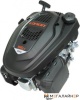 Лодочный мотор Loncin LC1P65FE-2