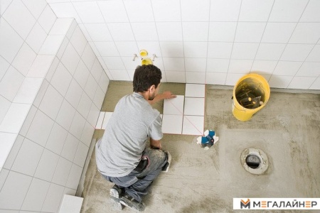 Купить Лазерный нивелир Bosch GTL 3 (0601015200) в Минске с доставкой