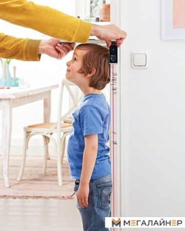 Купить Лазерный дальномер Bosch Zamo [0603672620] в Минске с доставкой