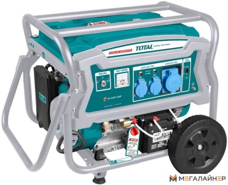 Купить Бензиновый генератор Total TP165006 в Минске с доставкой по РБ