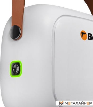 Пароочиститель Bort BDR-3000-RR купить в Минске с доставкой