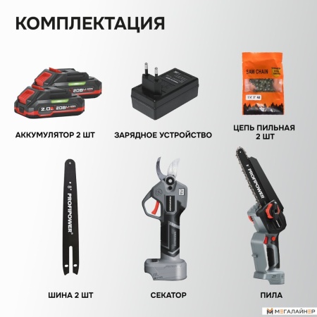 Profipower ProfiSet-2G20 E0217 (цепная пила, секатор, 2 АКБ) купить в Минске с доставкой