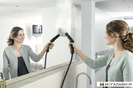 Отпариватель-пароочиститель Karcher SC 4 EasyFix Iron 1.512-461.0 купить в Минске с доставкой