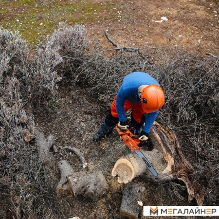 Бензопила Echo CS-361WES/35 купить в Минске с доставкой