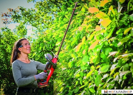 Кусторез Einhell GP-CH 18/61 Li BL-Solo 3410935 (без АКБ) купить в Минске с доставкой