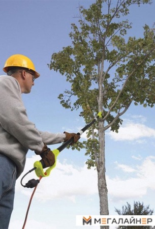 Кусторез Ryobi RP750450 купить в Минске с доставкой