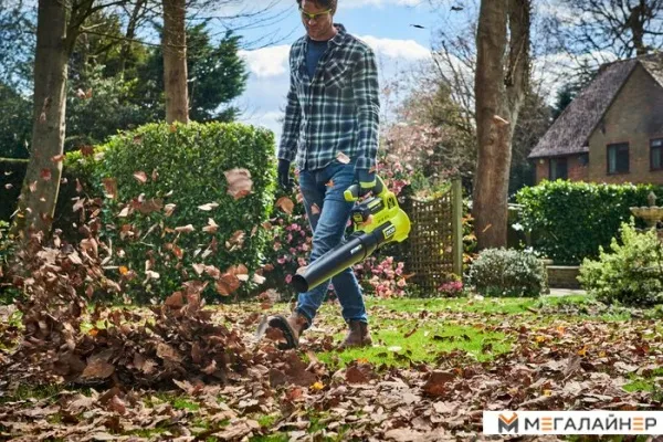 Ручная воздуходувка Ryobi Max Power RY36BLA-140 5133005030 (с 1-им АКБ) купить в Минске с доставкой