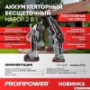 Profipower ProfiSet-2G20 E0217 (цепная пила, секатор, 2 АКБ) купить в Минске с доставкой